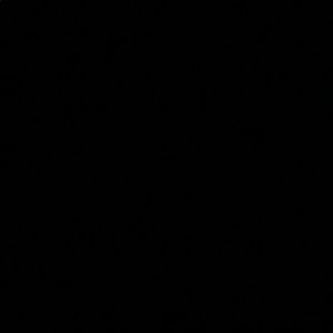 Meet your Posher, Gary